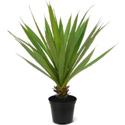 Bouquet artificiale di yucca 40 cm