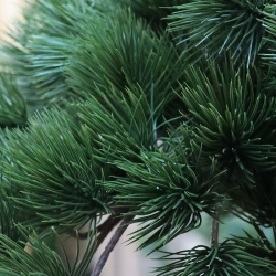 Pinus Bonsai Deluxe Artificiale 150cm