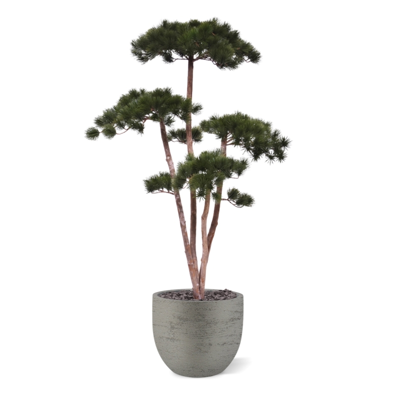 Pinus Bonsai Deluxe Artificiale 150cm