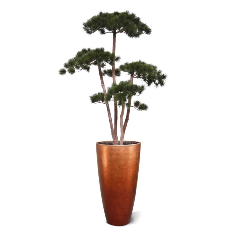 Pinus Bonsai Deluxe Artificiale 150cm