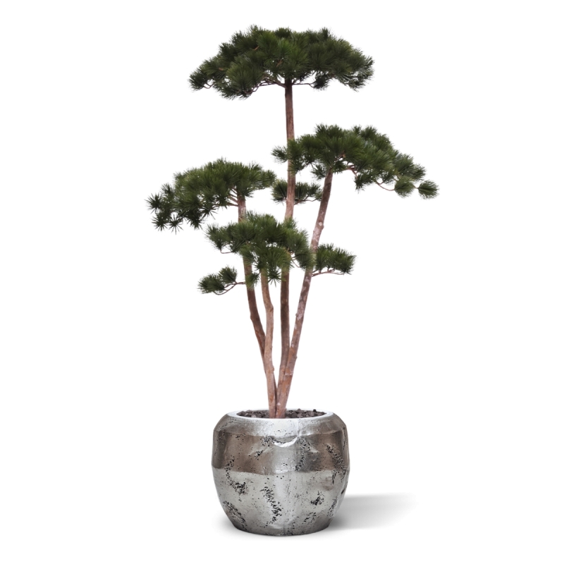 Pinus Bonsai Deluxe Artificiale 150cm