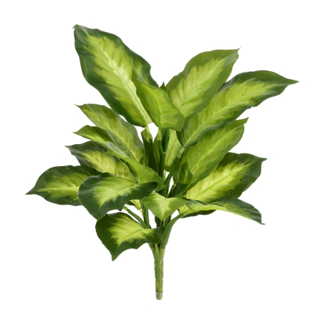 Pianta Dieffenbachia Artificiale 33cm