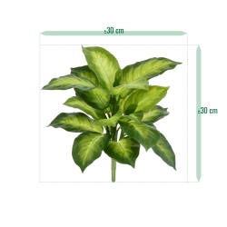 Pianta Dieffenbachia Artificiale 33cm