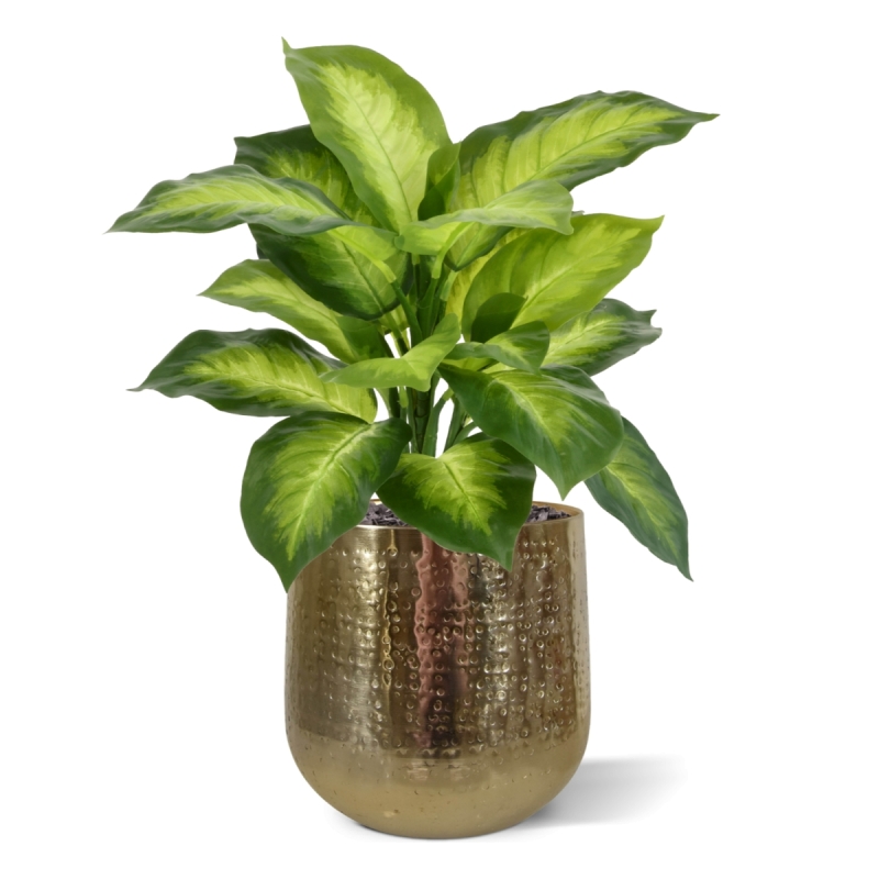 Pianta Dieffenbachia Artificiale 33cm
