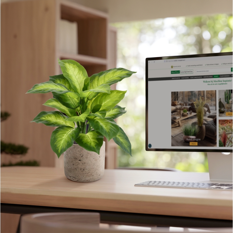 Pianta Dieffenbachia Artificiale 33cm