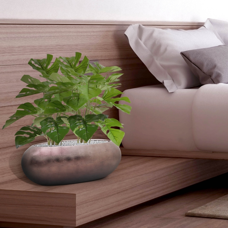 Monstera 50cm in vaso