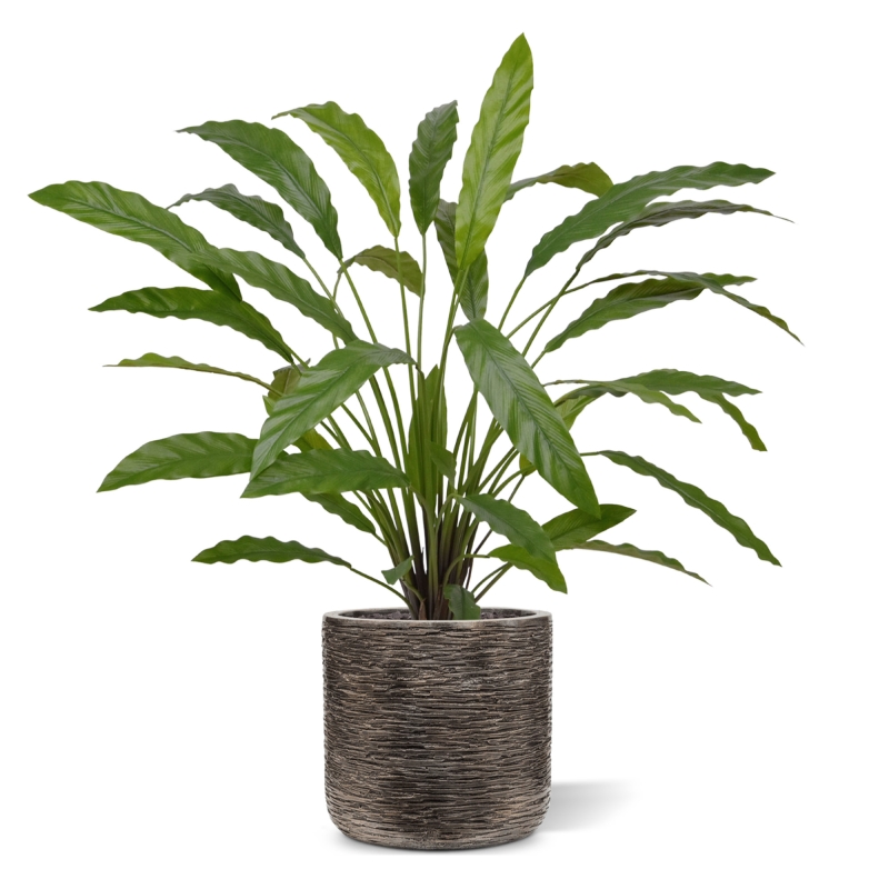 Calathea 75cm Pianta artificiale verde