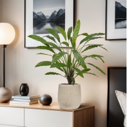 Calathea 75cm Pianta artificiale verde