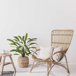 Calathea 75cm Pianta artificiale verde