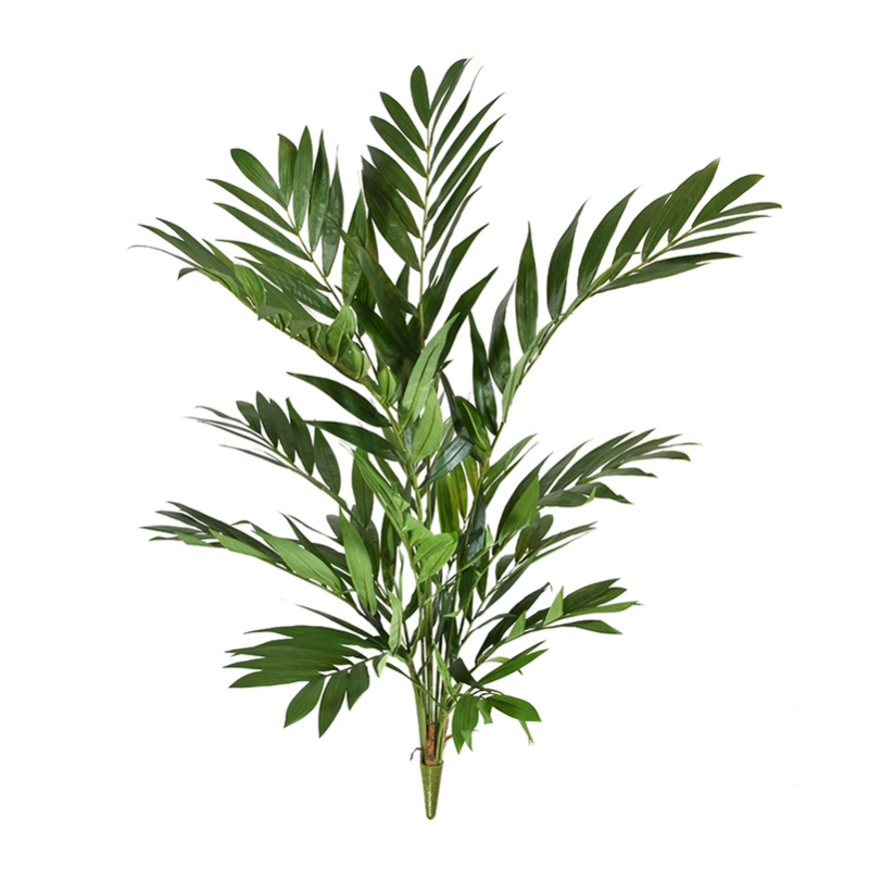 Bouquet Parlour Palm deluxe 90 cm