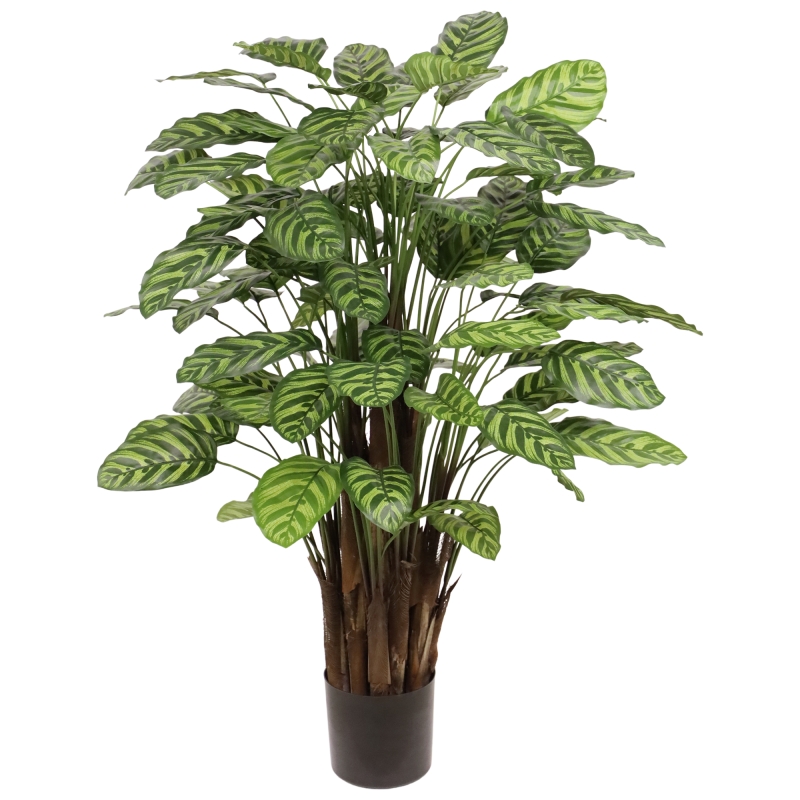 Calathea Makoyana artificiale Deluxe 115cm