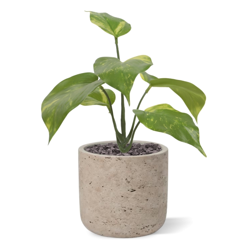 Pianta artificiale di Pothos 20 cm