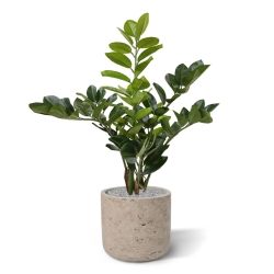 Zamioculcas pianta artificiale 55cm
