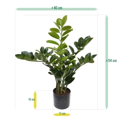 Zamioculcas pianta artificiale 55cm