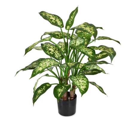 Dieffenbachia deluxe pianta artificiale 60 cm