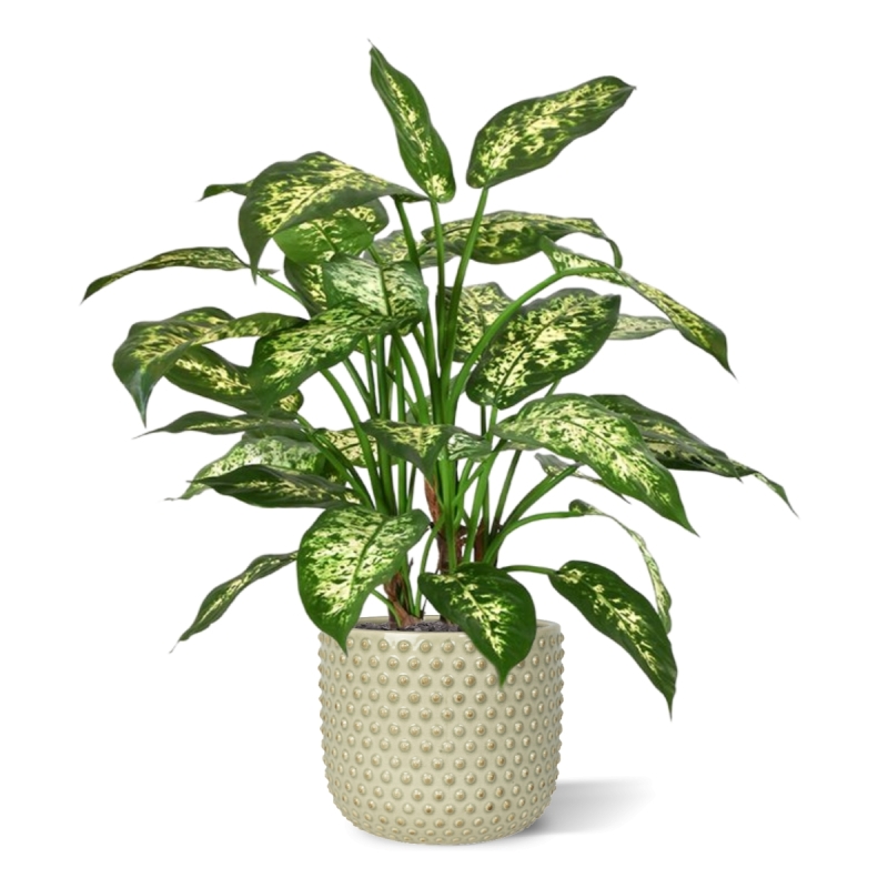 Dieffenbachia deluxe pianta artificiale 60 cm