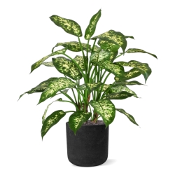 Dieffenbachia deluxe pianta artificiale 60 cm