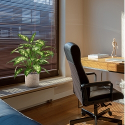 Dieffenbachia deluxe pianta artificiale 60 cm