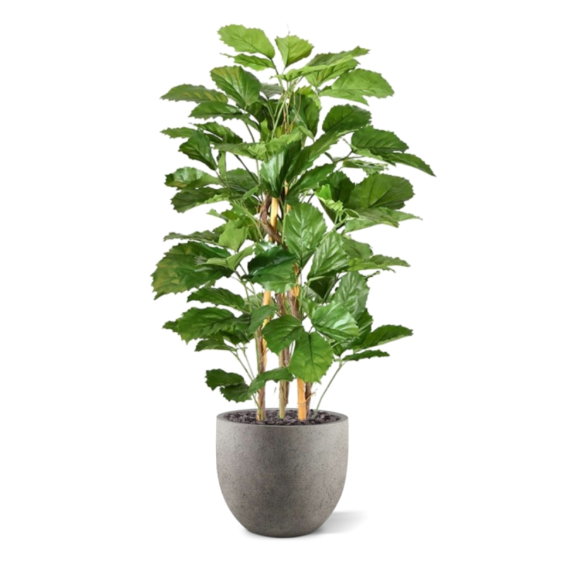 Pianta artificiale di tetrastigma 120 cm