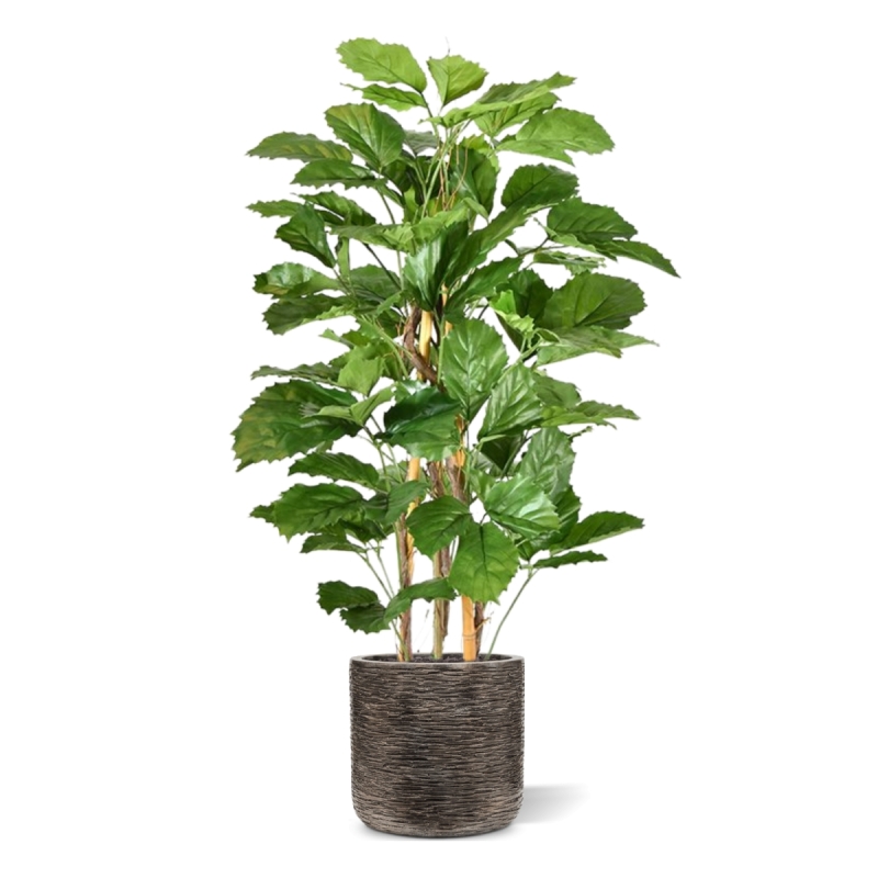 Pianta artificiale di tetrastigma 120 cm