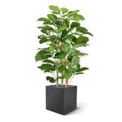 Pianta artificiale di tetrastigma 120 cm