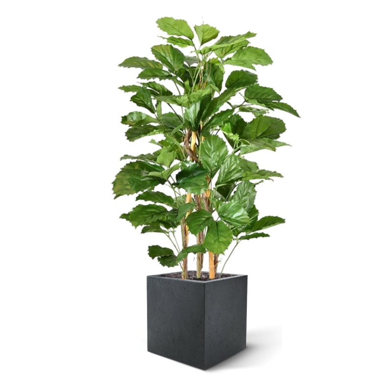 Pianta artificiale di tetrastigma 120 cm