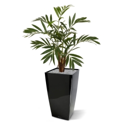 Palma artificiale Chamaedorea 85 cm
