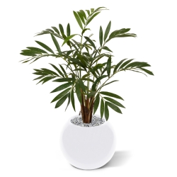 Palma artificiale Chamaedorea 85 cm