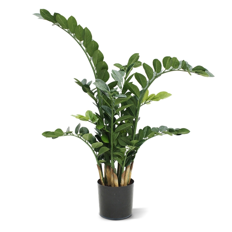 Pianta artificiale di Zamioculcas 100cm