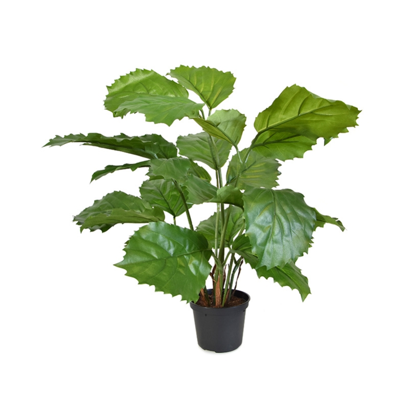 Pianta artificiale di tetrastigma 40 cm