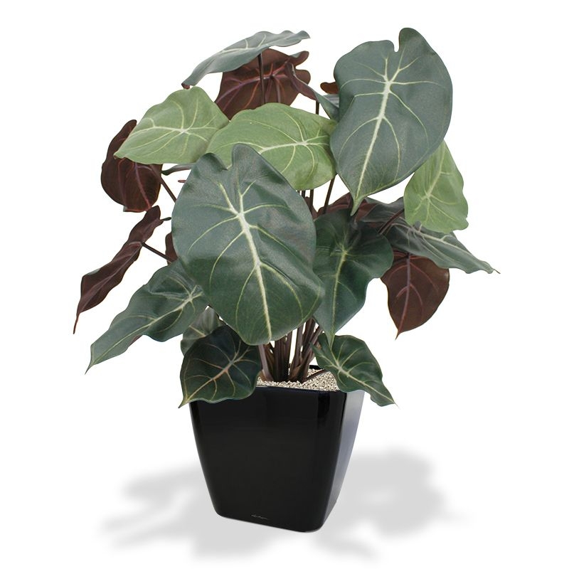 Syngonium pianta artificiale 60 cm