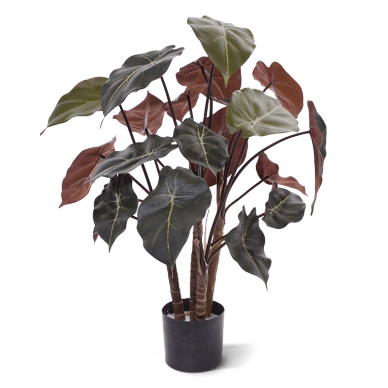 Syngonium pianta artificiale su legno 60 cm