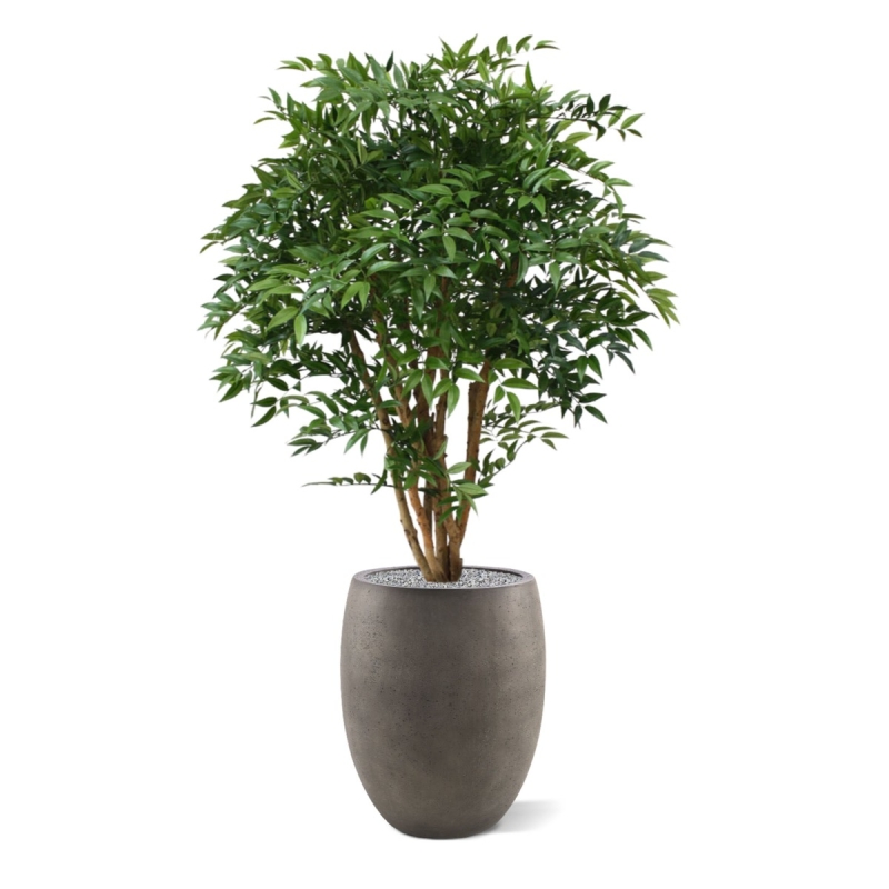 Ruscus deluxe N pianta artificiale 110cm