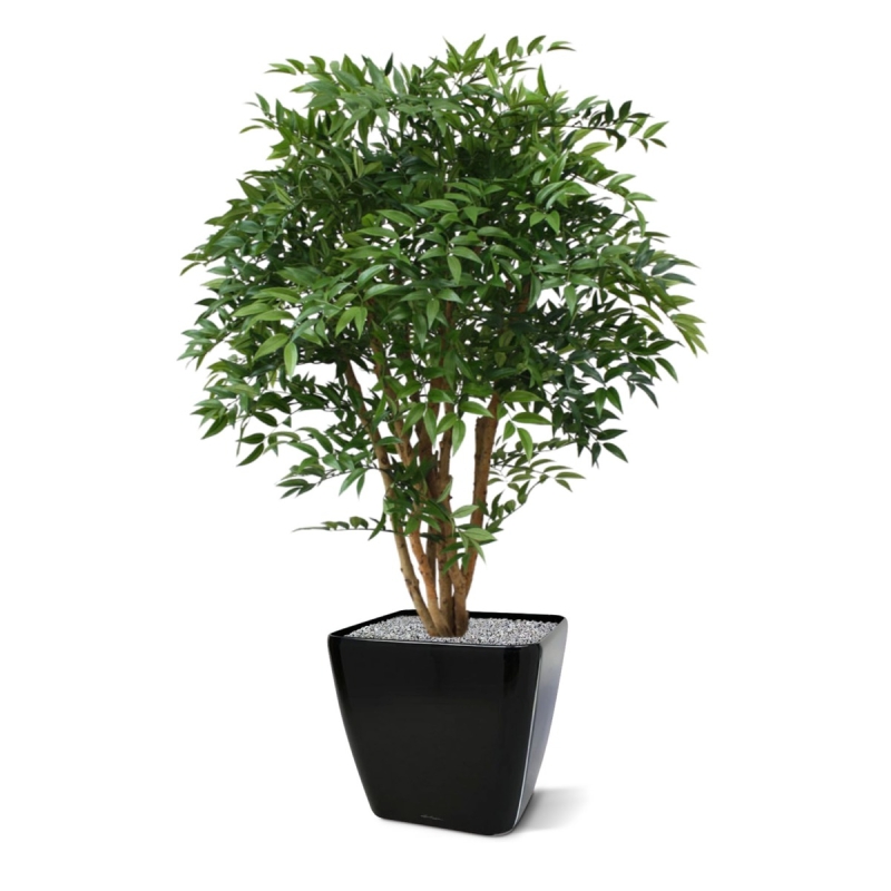 Ruscus deluxe N pianta artificiale 110cm