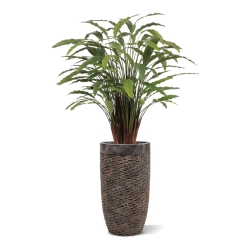 Calathea artificiale Deluxe 115cm