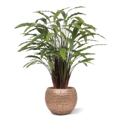 Calathea artificiale Deluxe 115cm