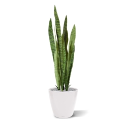 Pianta artificiale di Sanseveria 110cm - verde