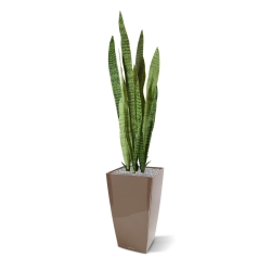 Pianta artificiale di Sanseveria 110cm - verde