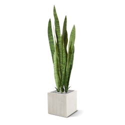 Pianta artificiale di Sanseveria 110cm - verde