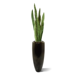 Pianta artificiale di Sanseveria 110cm - verde