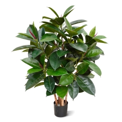 Pianta artificiale Elastica Robusta 90cm - FR - ignifuga