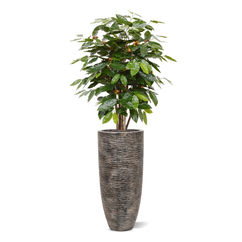 Pianta artificiale di caffè arabica 100 cm