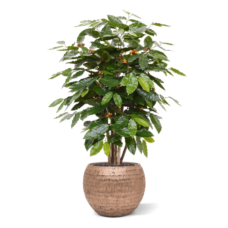 Pianta artificiale di caffè arabica 100 cm