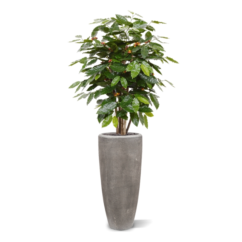 Pianta artificiale di caffè arabica 100 cm