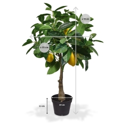 Pianta artificiale di limone 70 cm