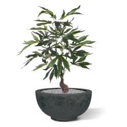 Pianta artificiale di cannabis 60 cm