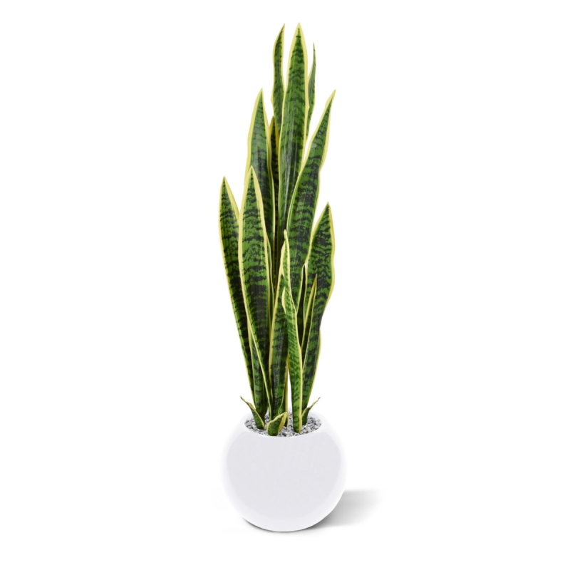 Sanseveria artificiale var. 110 cm in vaso