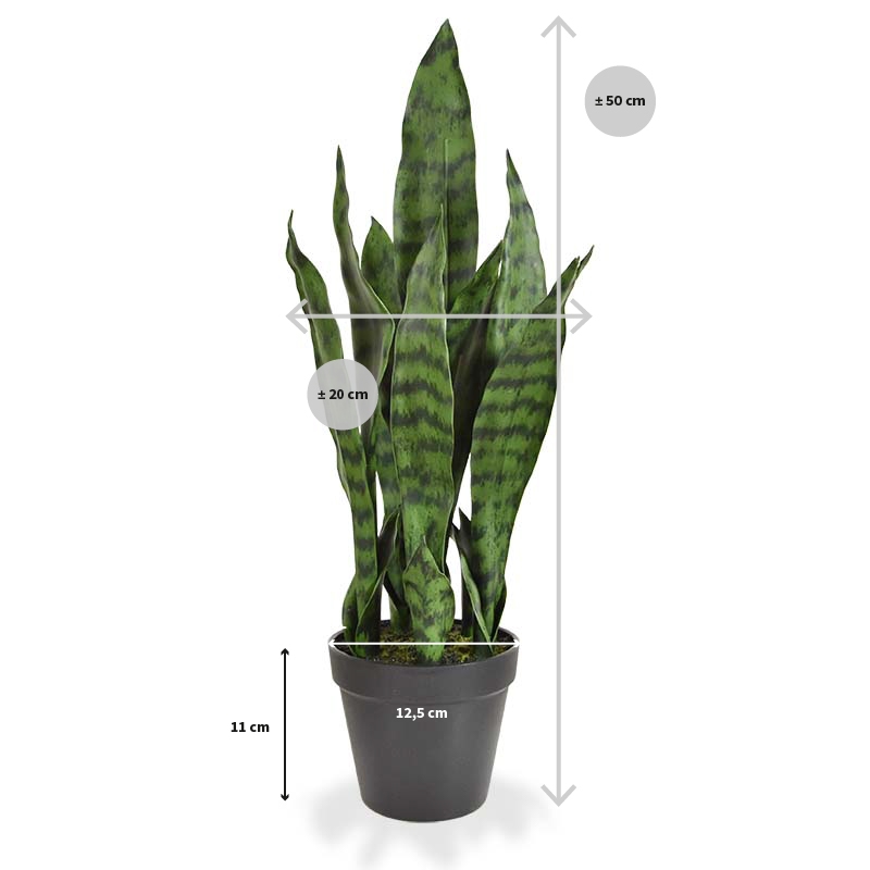 Pianta artificiale di Sanseveria N 50cm - verde
