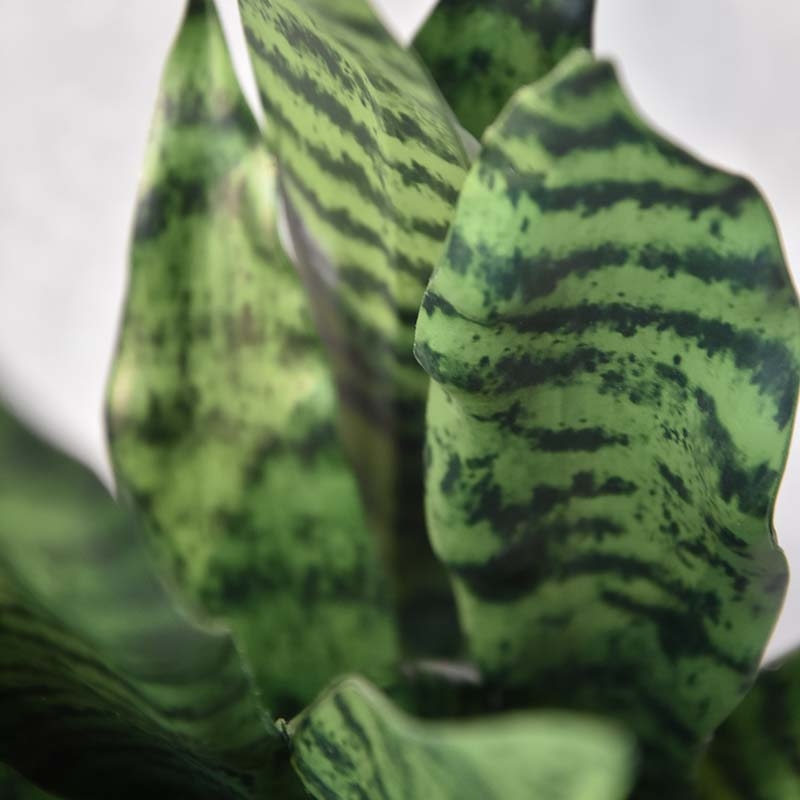 Pianta artificiale di Sanseveria N 50cm - verde