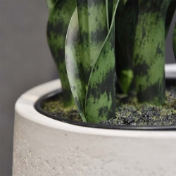 Pianta artificiale di Sanseveria N 50cm - verde